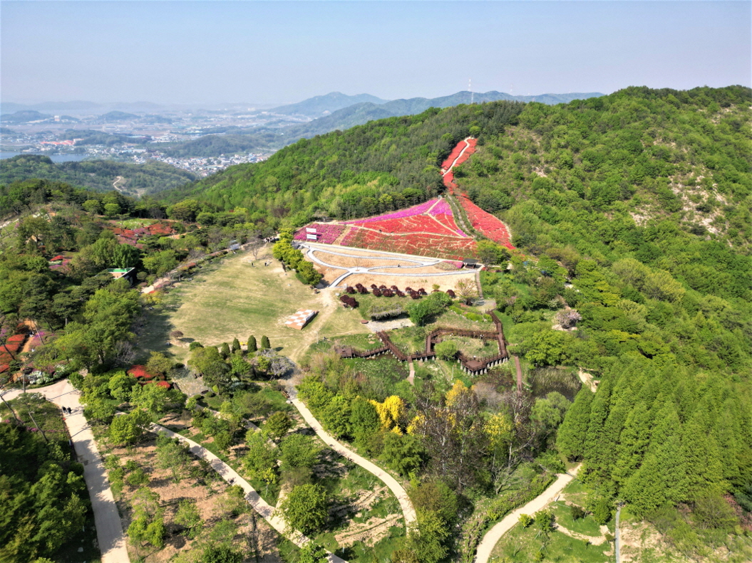 영인산수목원_철쭉(1)