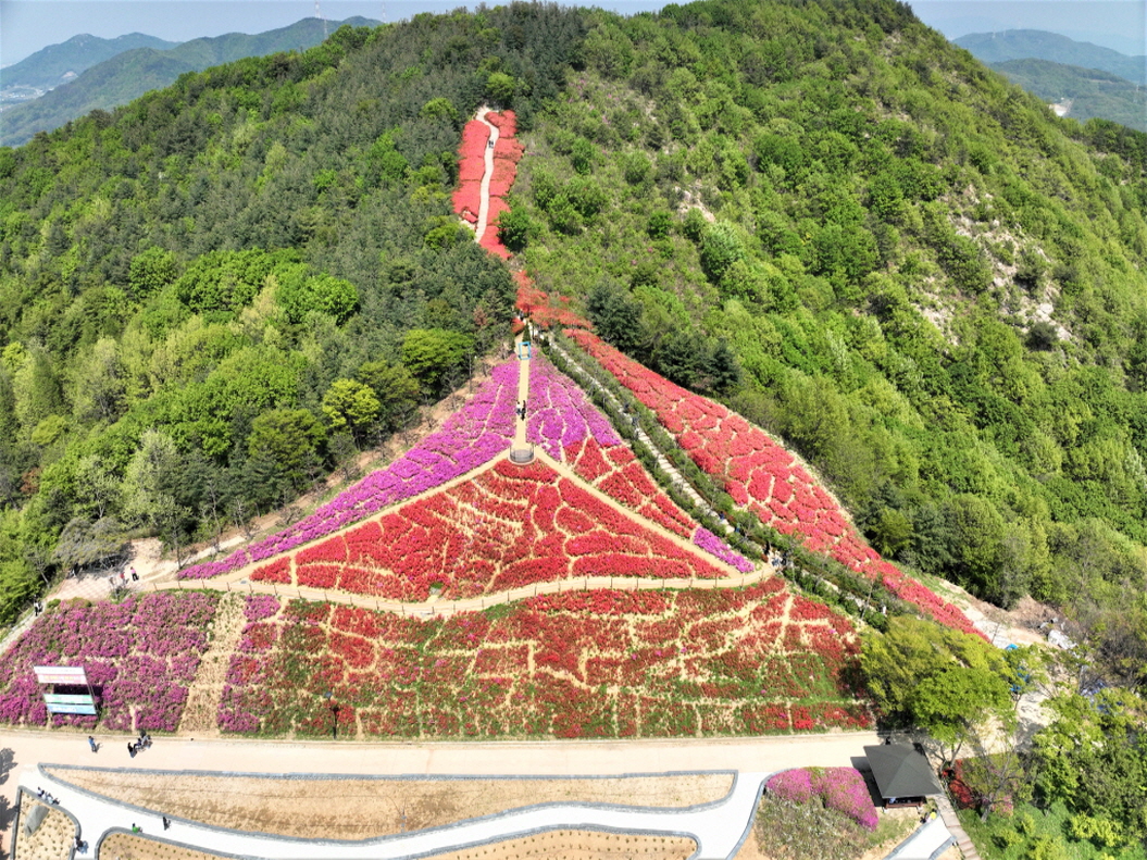 영인산수목원_철쭉(3)